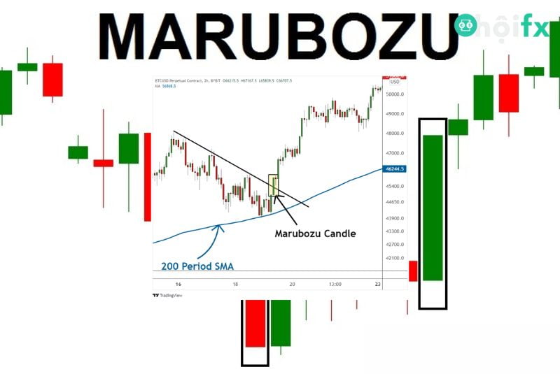 Nhận diện nến Marubozu qua các đặc trưng cơ bản của nó