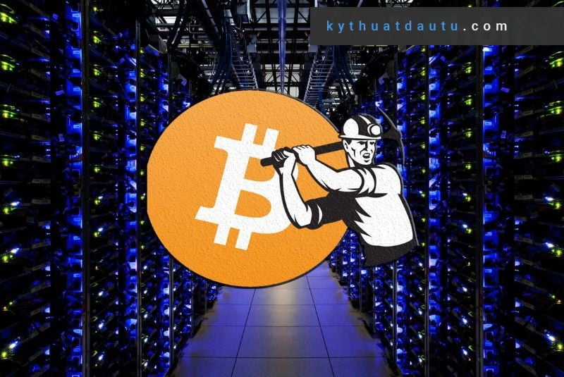 Có nhiều dòng máy đào bitcoin