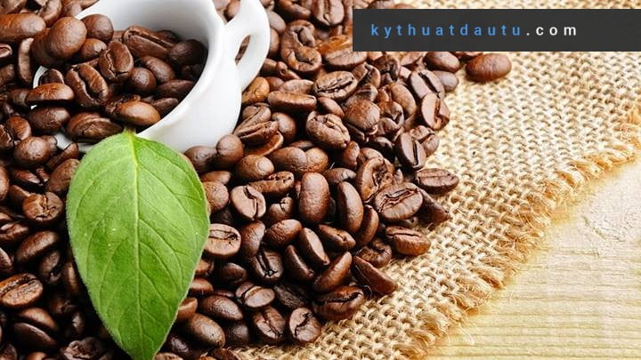 Hạt cà phê Arabica 